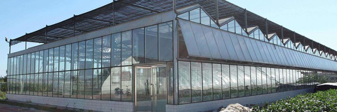 連棟溫室的使用事項有哪些？